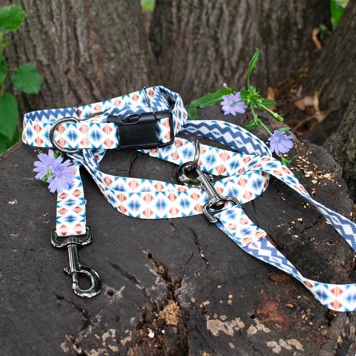 Pendleton Adventure Leash