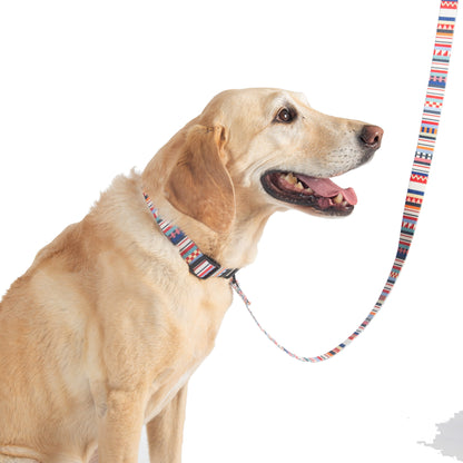 Pendleton Adventure Leash