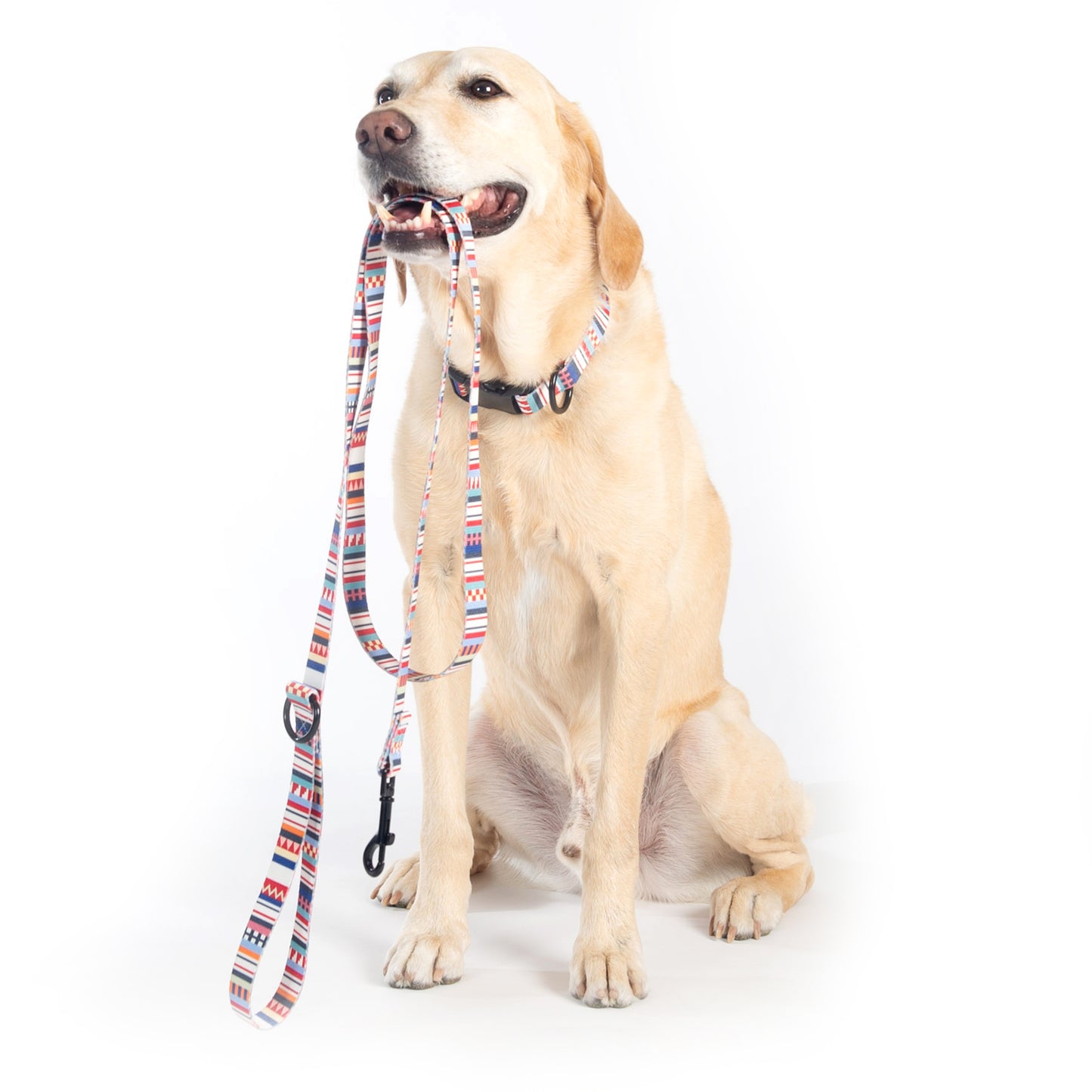 Pendleton Adventure Leash