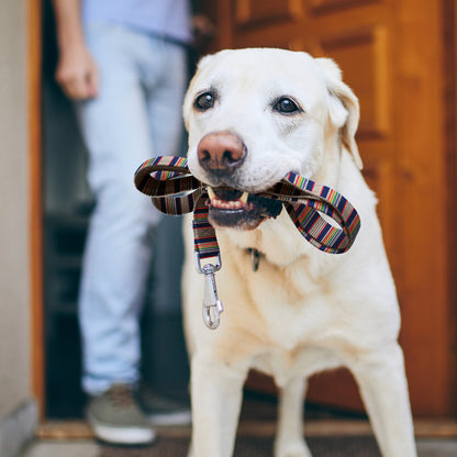 Pendleton Adventure Leash