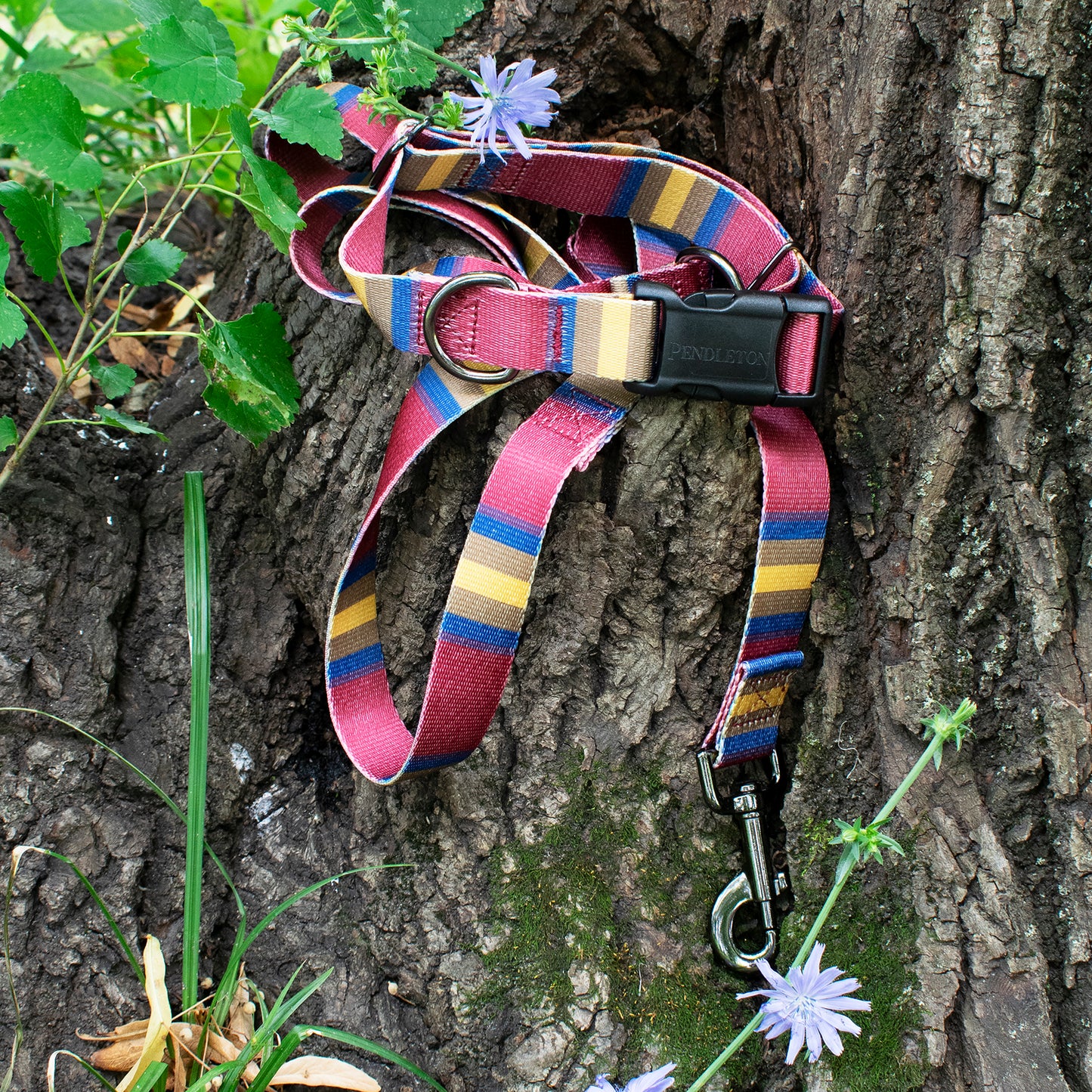 Pendleton Adventure Leash