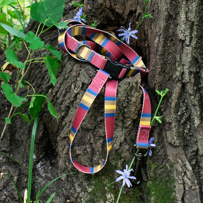 Pendleton Adventure Leash