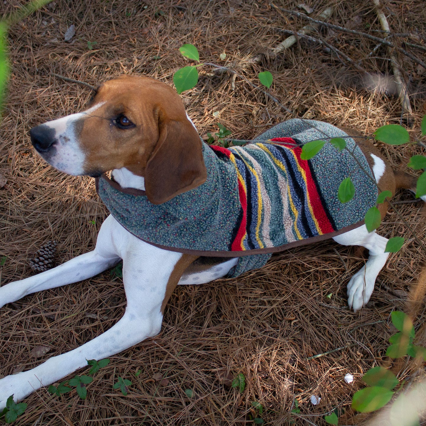 Pendleton Dog Coat