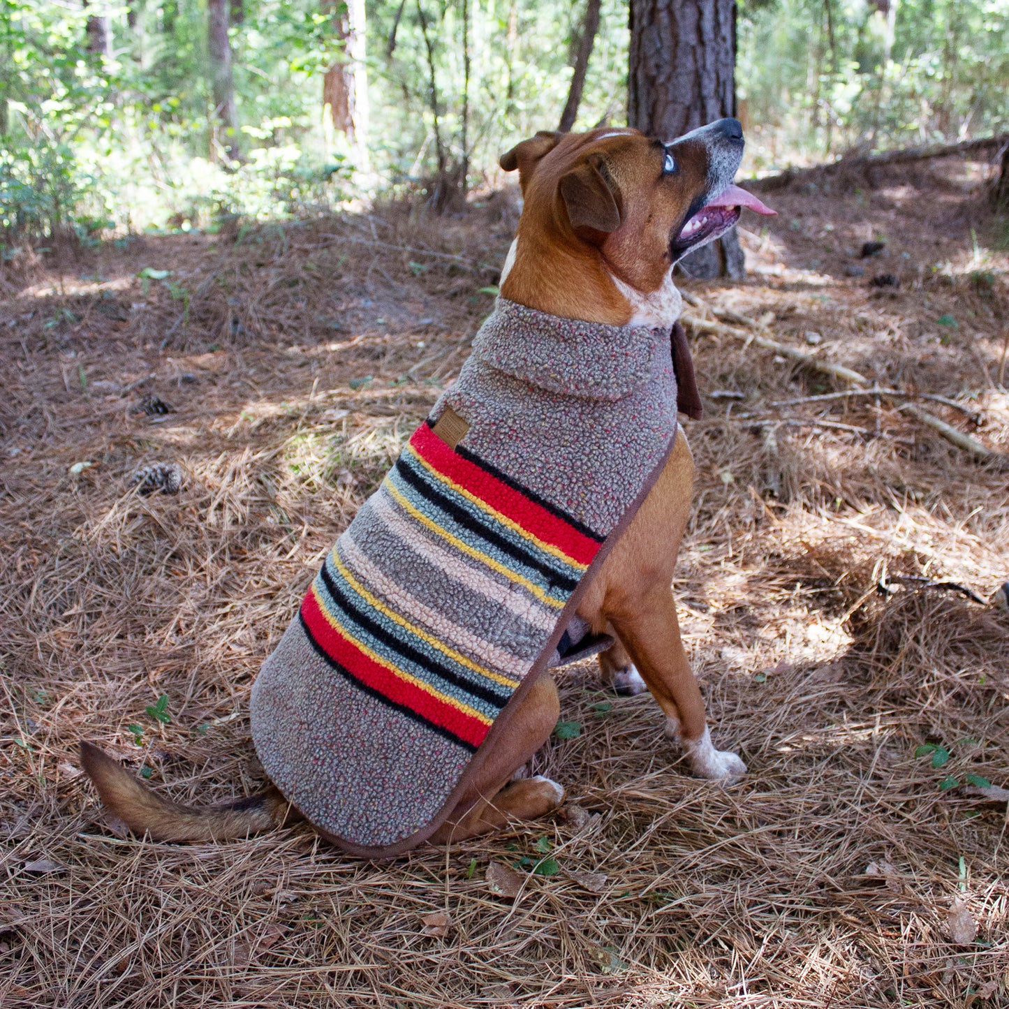 Pendleton Dog Coat