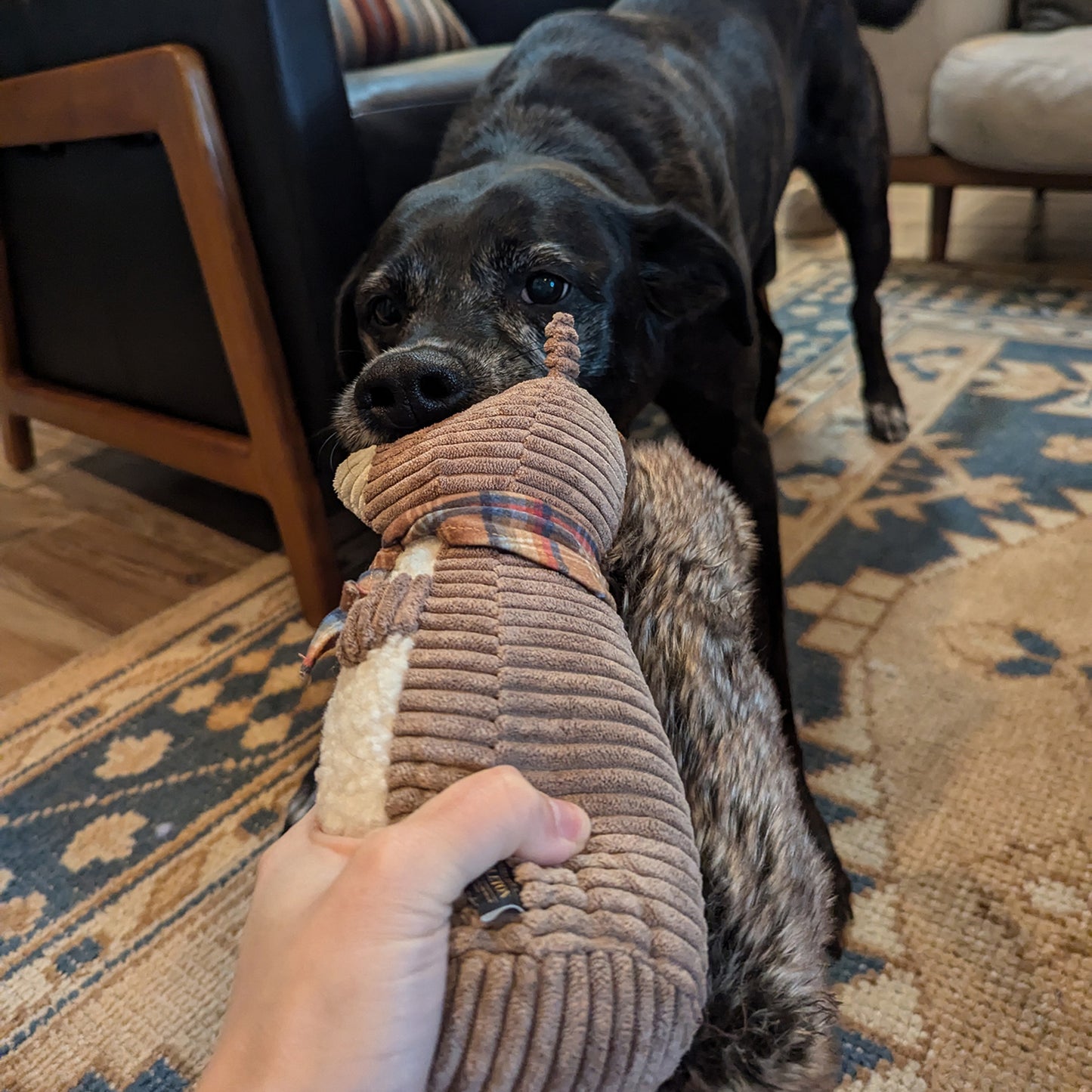 Pendleton Large Plush Dog Toy