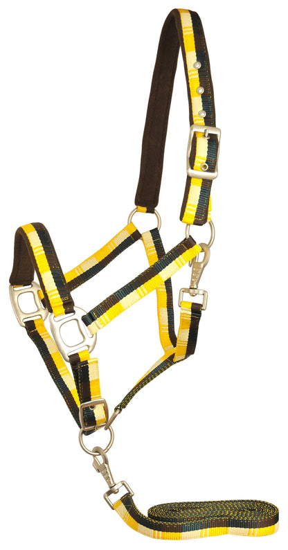 Gatsby Terra Fleece Padded Nylon Halter with Matching Lead