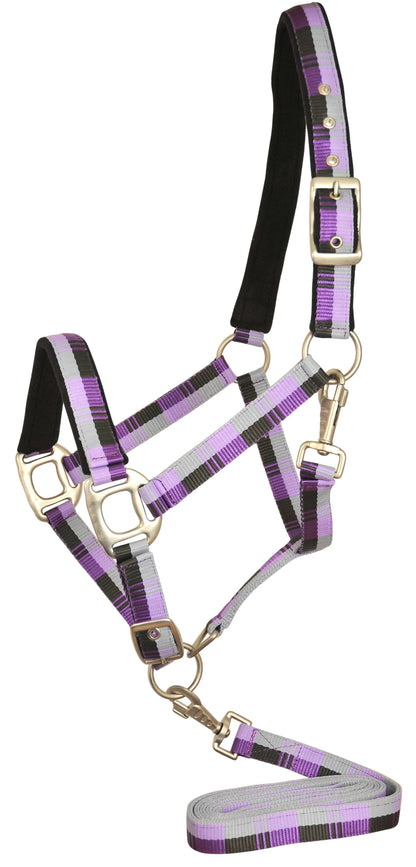 Gatsby Terra Fleece Padded Nylon Halter with Matching Lead