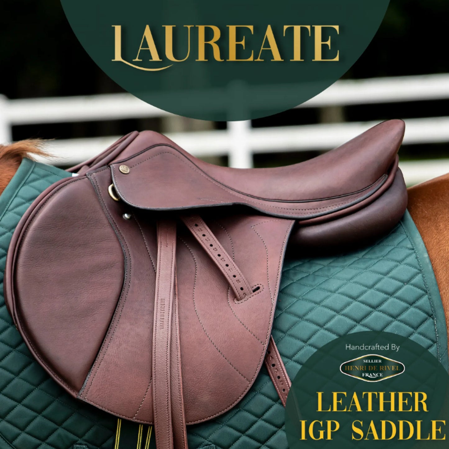 Henri De Rivel Laureate Leather IGP Saddle