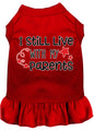 Dog Dress, Pet Dog & Cat Dress Screen Printed, "I Still Live With My Parents"