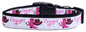 Pet Dog & Cat Nylon Collar or Leash, "Cowgirl Up"