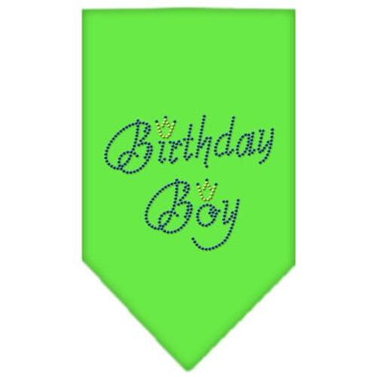 Pet and Dog Bandana Rhinestone, "Birthday Boy"