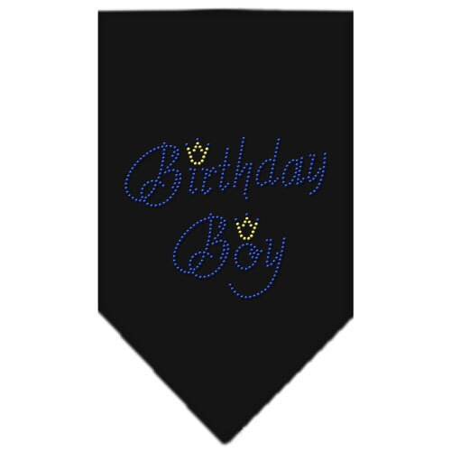 Pet and Dog Bandana Rhinestone, "Birthday Boy"