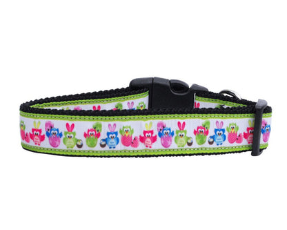 Pet Dog & Cat Nylon Collar or Leash, "Easter Birdies"